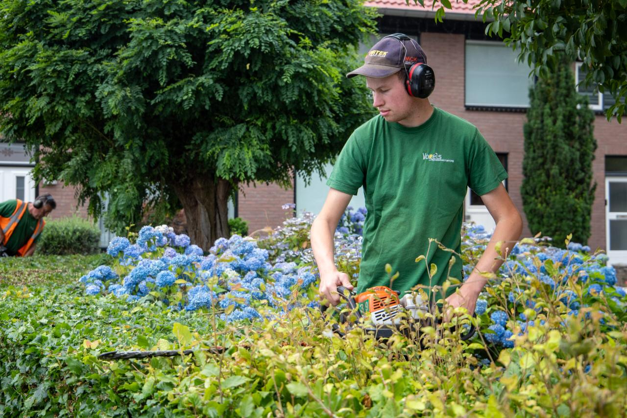 Hovenier van Vogels aan het werk